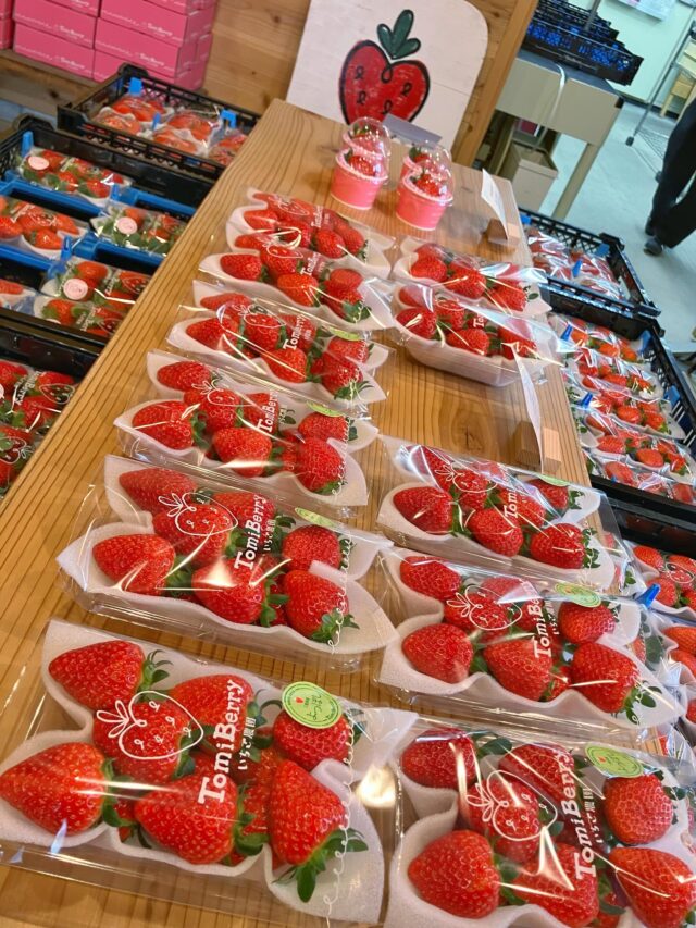 TomiBerryいちご農園（トミベリーいちご農園） – 三重県伊賀市にある