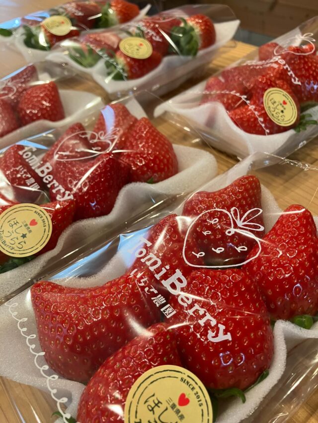 TomiBerryいちご農園（トミベリーいちご農園） – 三重県伊賀市にある