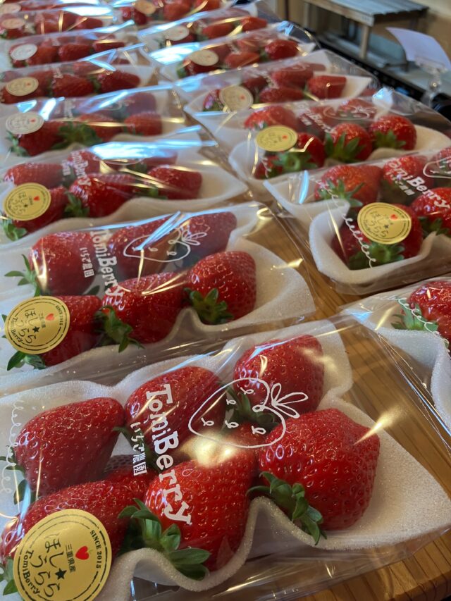 TomiBerryいちご農園（トミベリーいちご農園） – 三重県伊賀市にある